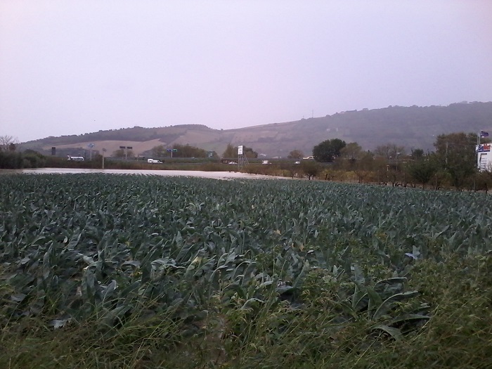 20131112_100713