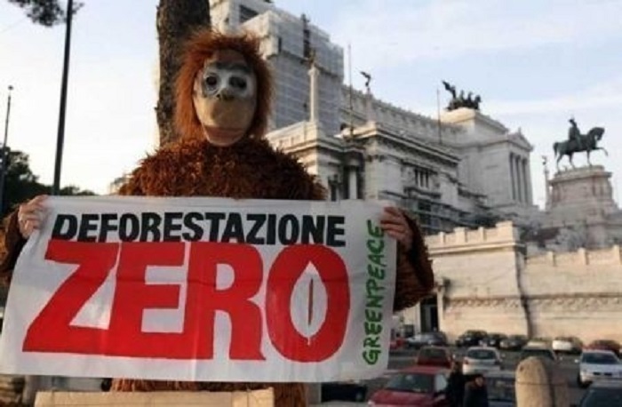 orango-greenpeace-roma